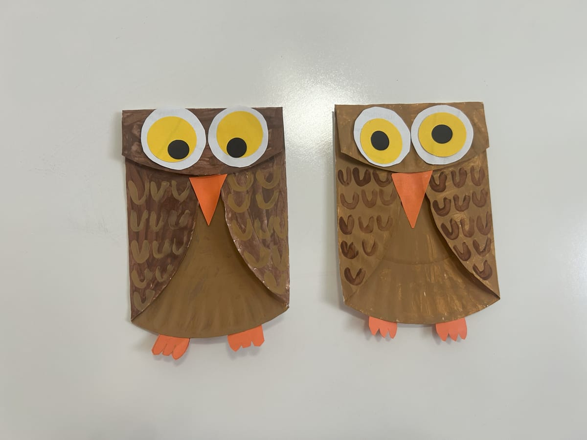 Paper Plate Owl Craft