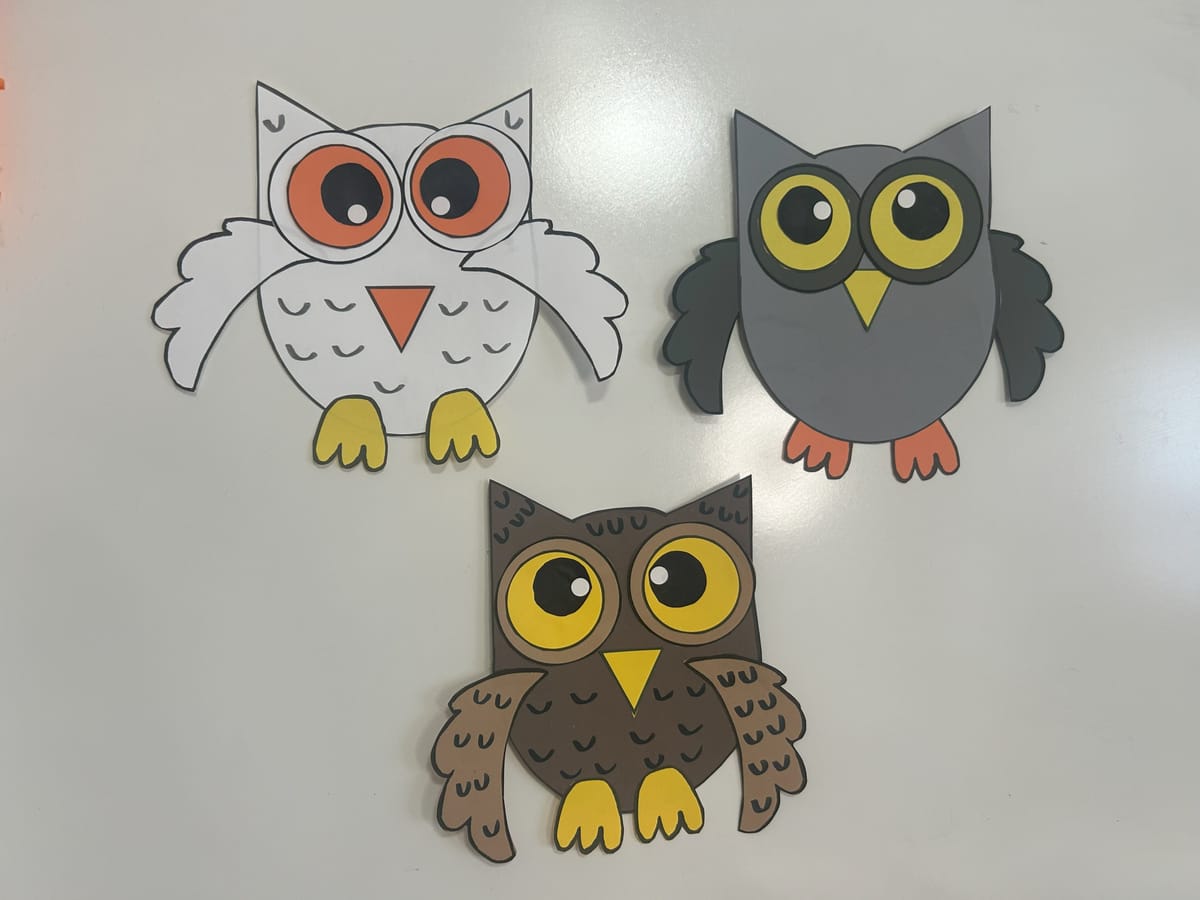 Owl Craft