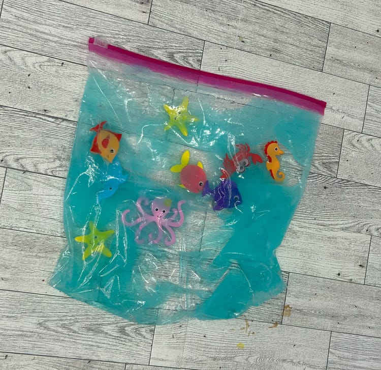 Aquarium Sensory Bag