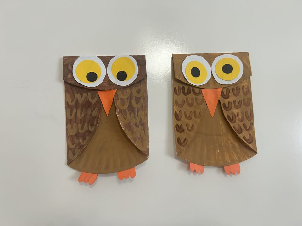 Paper Plate Owl Craft