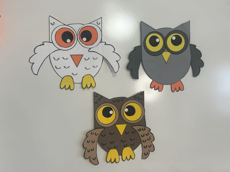 Owl Craft